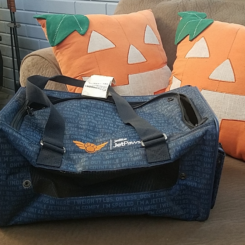 Airplane pet carrier